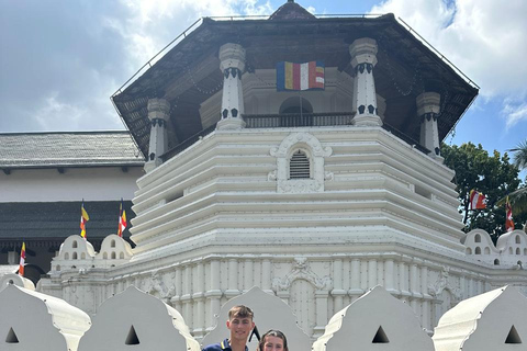 CMB/Negombo: Sigiriya, Kandy & Ella Private Tour with Driver Private Van with Driver – Up to 50 km