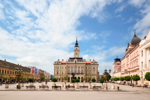 Desde Belgrado: Excursión de un día a Novi Sad