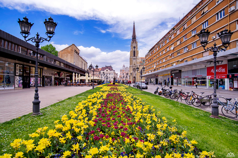 Desde Belgrado: Excursión de un día a Novi Sad