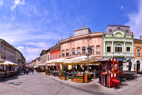 Van Belgrado: dagtrip naar Novi Sad