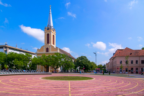 Au départ de Belgrade : excursion d'une journée à Novi Sad