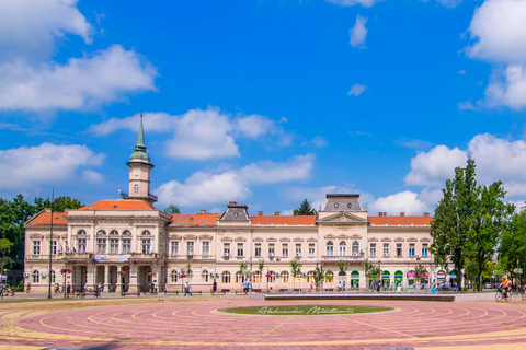 Au départ de Belgrade : excursion d'une journée à Novi Sad