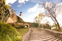 Viagem de um dia saindo de Belgrado, Novi Sad - Hizvo