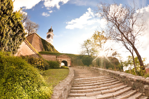 Von Belgrad aus: Tagesausflug nach Novi Sad