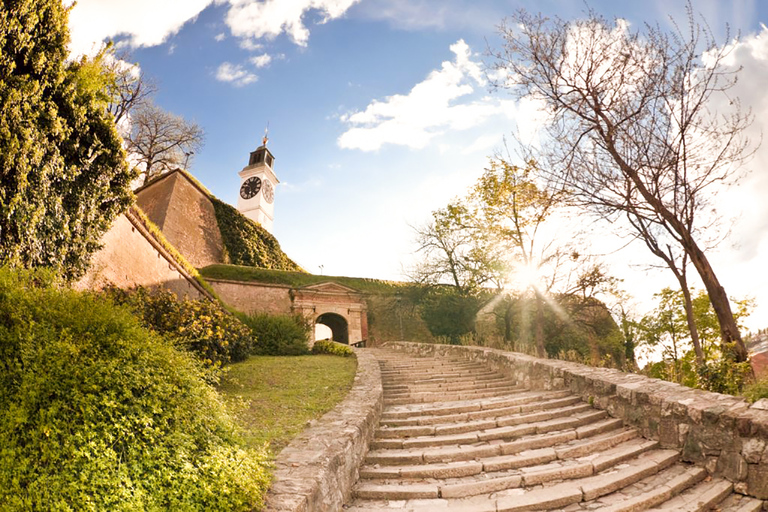 Van Belgrado: dagtrip naar Novi Sad