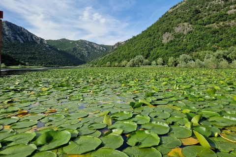 Skadar Lake: Explore the nature and national cuisine
