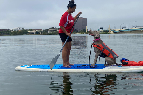 Orlando: Wiosłuj z psami w raju - Paddleboard lub kajakWiosłuj ze szczeniętami