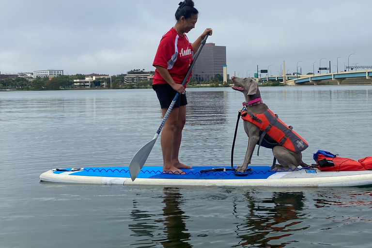 Orlando: Pagaia con i cuccioli in paradiso - Paddleboard o KayakPagaia con i cuccioli