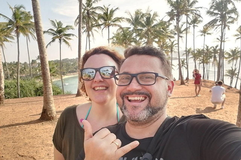 From Colombo: Mirissa Coconut Tree Hill, Beach & Rock Tour