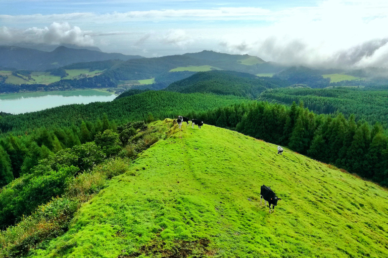 Ponta Delgada: jeeptour van een halve dag naar Sete Cidades