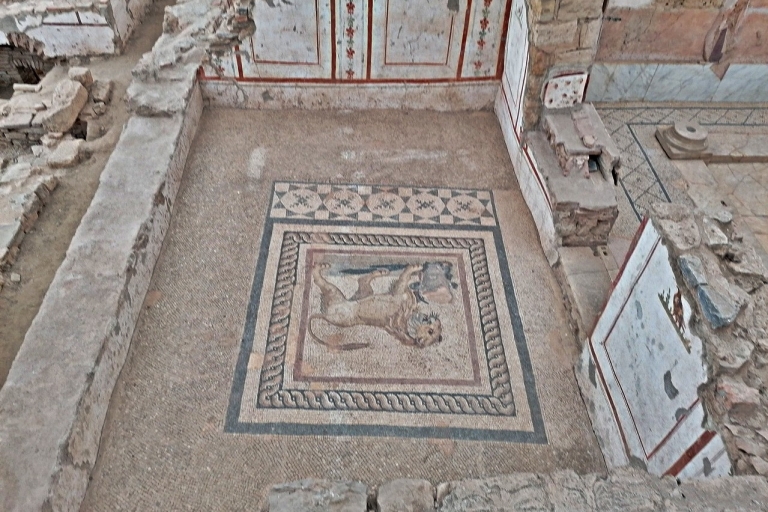 De Kusadasi: visite d'une demi-journée à Ephèse et aux maisons mitoyennes