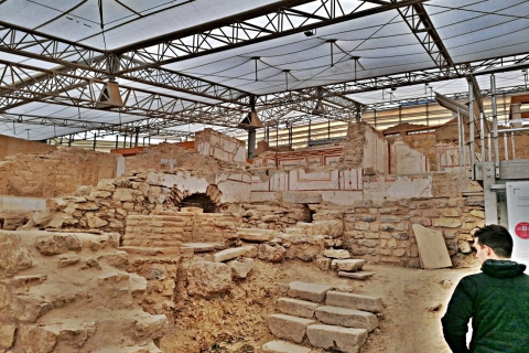 Desde Kusadasi: tour de medio día por Éfeso y casas adosadas
