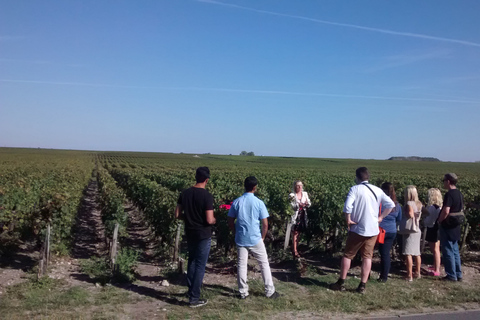 From Bordeaux: Private Wine Tour in Medoc