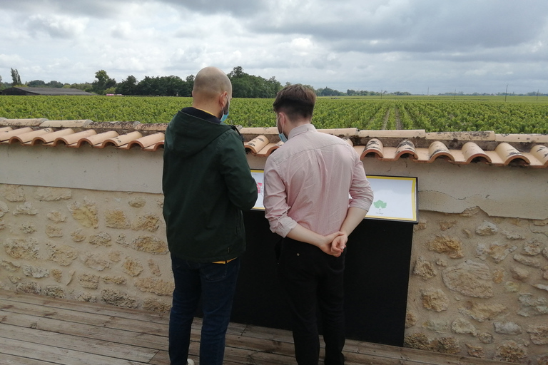 From Bordeaux: Private Wine Tour in Medoc