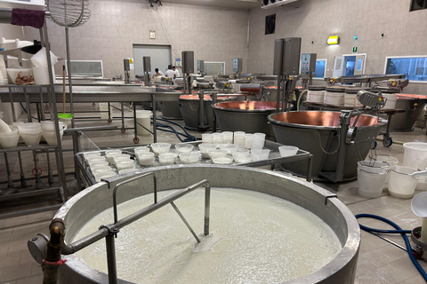 De Florence: visite de l'usine de parmesan et de vinaigre balsamique