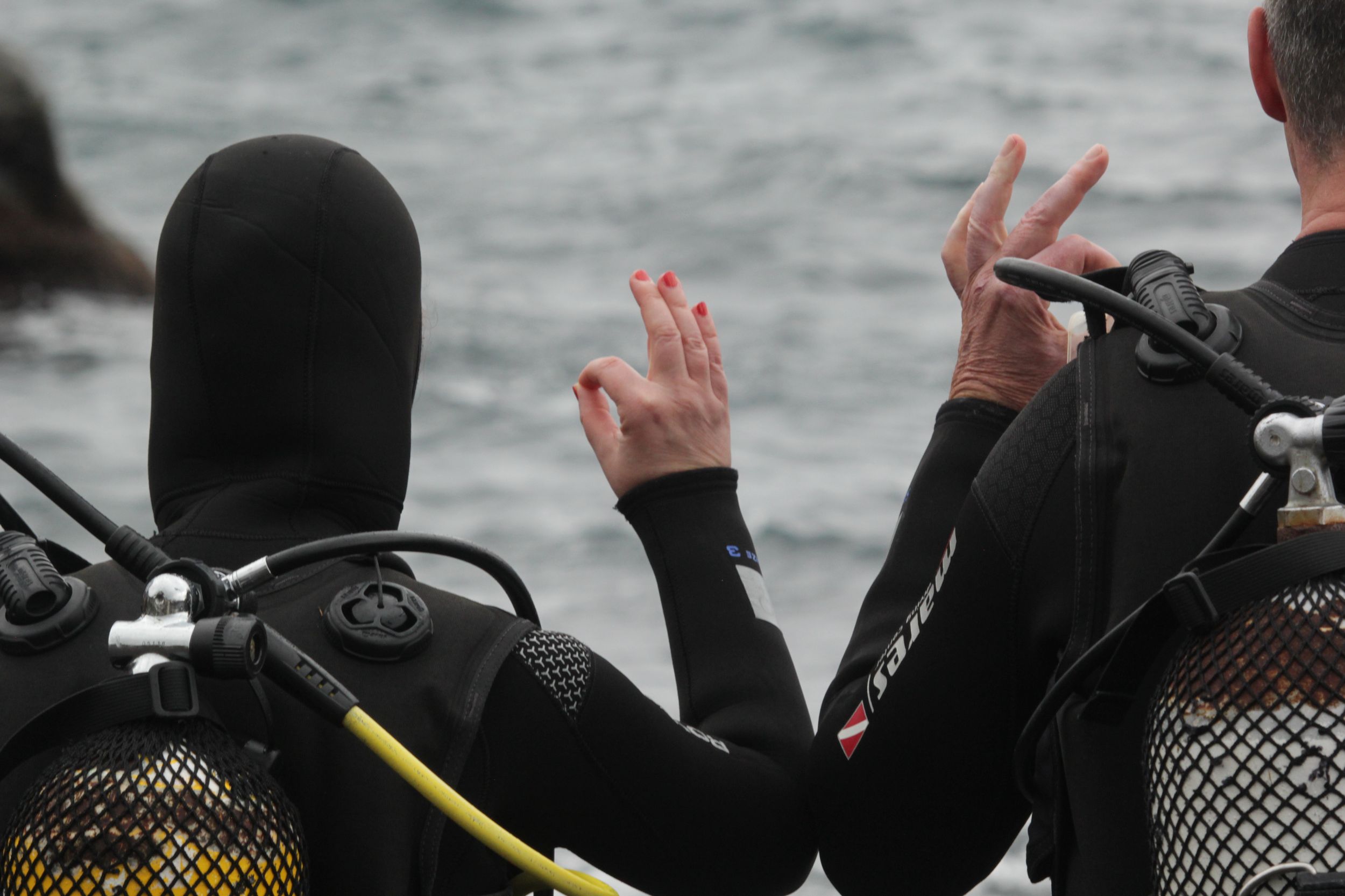 La Palma: VIP Basic Diver Zertifizierung