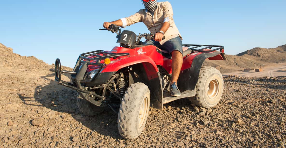 From Marsa Alam: 3-Hour Quad Bike Safari with Camel Ride