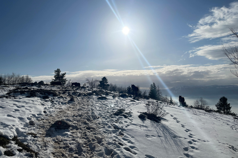 Snowshoeing on Trebević - Winter Adventure Above Sarajevo