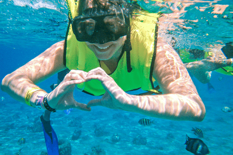 Cancún: Paradise Snorkel at Reef and Underwater Museum