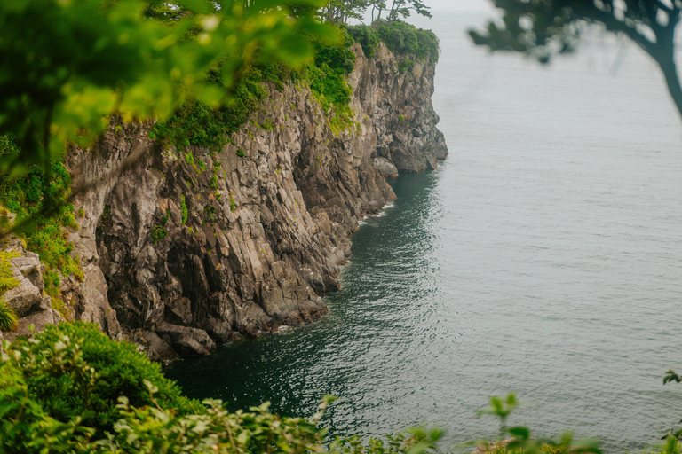 Jeju Trendy Café Tour and When Life Gives You Tangerines