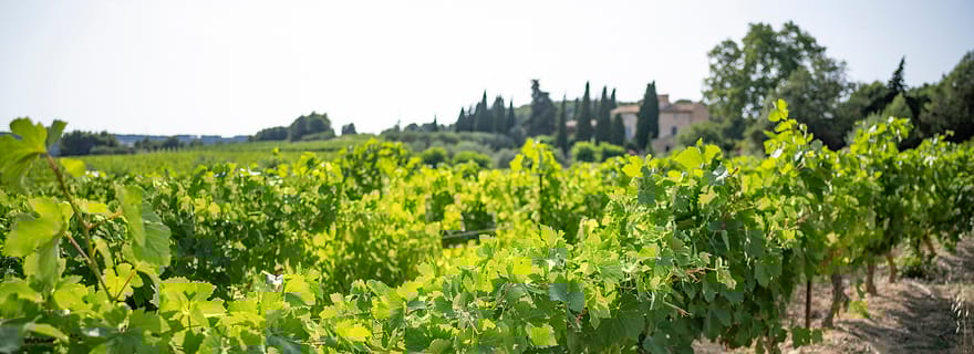Sète : visite d'une demi-journée à Sète