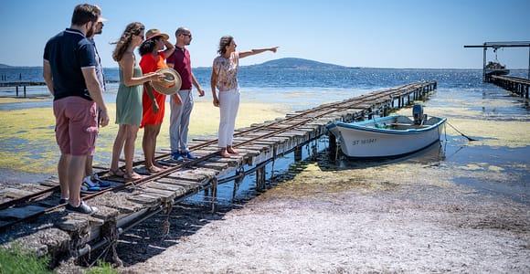 Montpellier Wein und Austern Tour