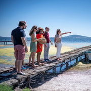 Montpellier Wine and Oyster Tour