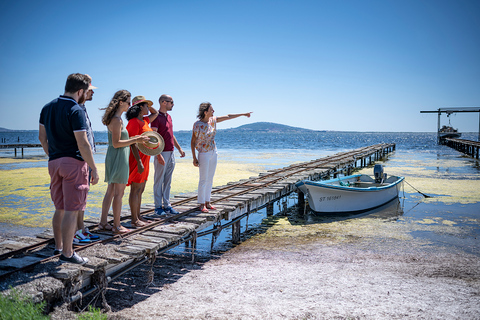 Montpellier Wine and Oyster Tour