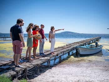 Montpellier Wine and Oyster Tour