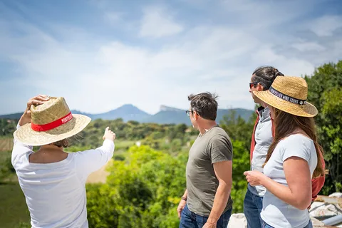 From Montpellier: Half-Day Vineyard & Pic Saint-Loup Tour