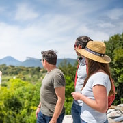 From Montpellier: Half-Day Vineyard & Pic Saint-Loup Tour