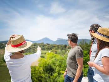 From Montpellier: Half-Day Vineyard & Pic Saint-Loup Tour