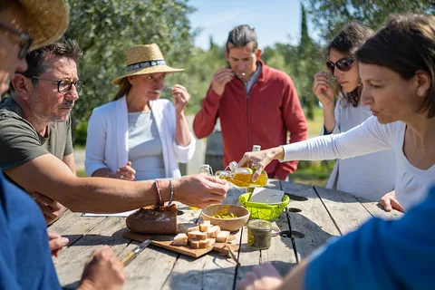 From Montpellier: Wine and Olive Tour