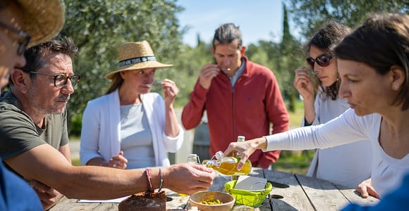 Von Montpellier aus: Wein- und Oliventour