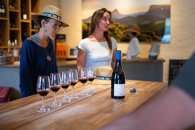 I castelli di Grès de Montpellier e degustazione di vini