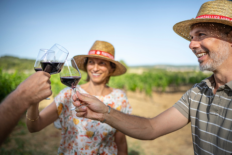 I castelli di Grès de Montpellier e degustazione di vini