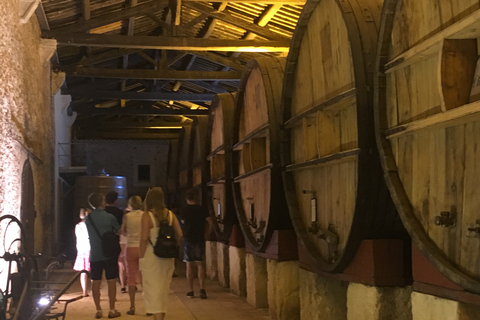 Sete: Private Wein- und Austern-Tour mit VerkostungSete: Private Wein- und Austern Tour mit Verkostung