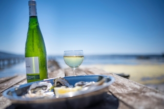 Sete: Private Wine and Oyster Tour with Tastings