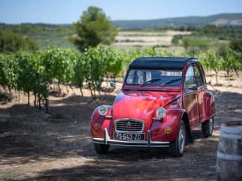 From Montpellier: Winery Tour in a Vintage Citroën 2CV
