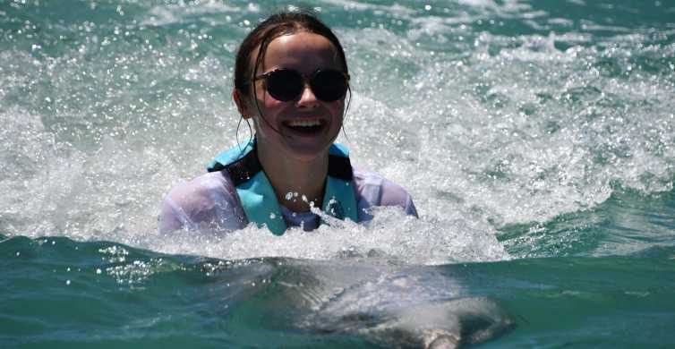 Florida Keys Duck Key Swim with Dolphins GetYourGuide