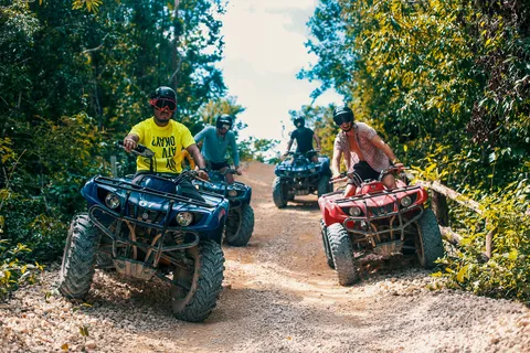 Von Tulum aus: ATV-Fahrt mit Affenschutzgebiet und Cenoten-Ausflug