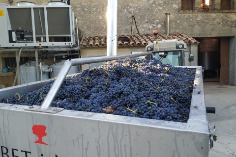 Barcelona: Montserrtat-Wanderung und Weingutstour mit Verkostung