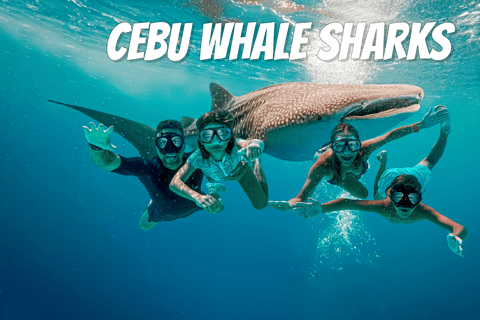 Cebu: 2 Days 1 Night Tour Package (Oslob)