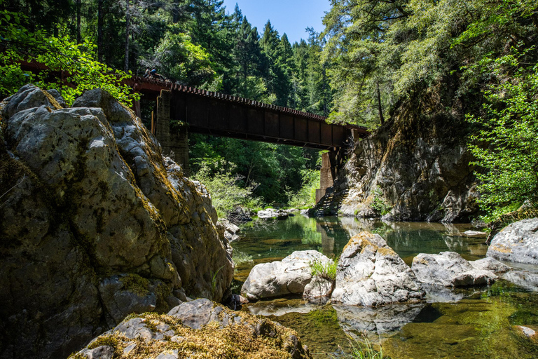 Mendocino County: Pudding Creek Railbikes