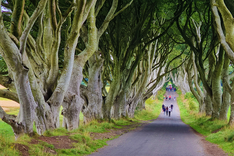 Privat landutflykt från Belfast kryssningsterminalFrån Belfast: Privat tur till Giant&#039;s Causeway County Antrim