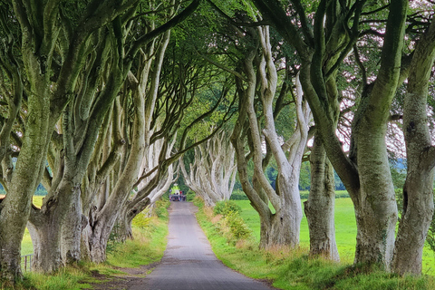 De Belfast: visite privée de la Chaussée des Géants dans le comté d'Antrim