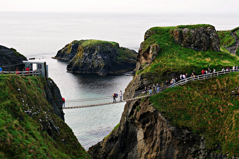 Escursione a terra privata dal terminal crociere di BelfastDa Belfast: tour privato della Giant&#039;s Causeway County Antrim