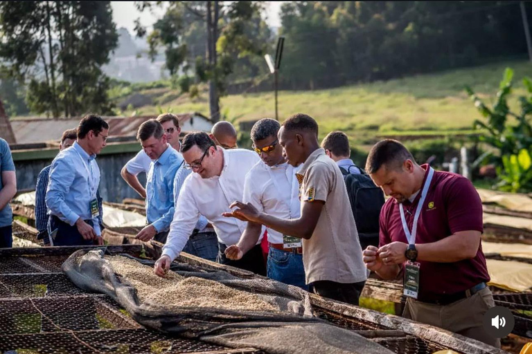 Nairobi: Coffee Farm Tour with Tasting and Transfers