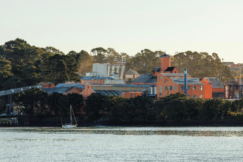 Auckland Harbour Highlights Cruise with Live Commentary