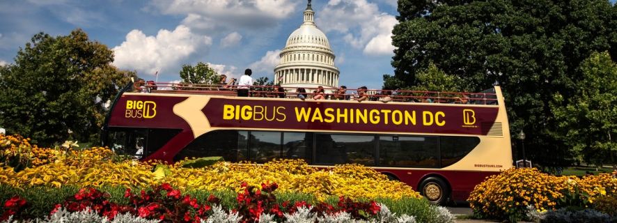 Washington DC: Hop-On Hop-Off Sightseeing Tour & Boat Cruise